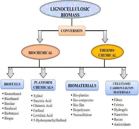 Biochemical And Thermochemical Conversion Of Lignocellulosic Substrate