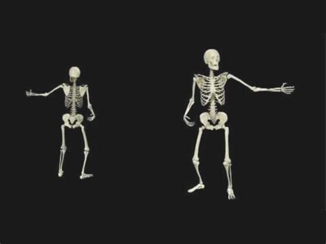 3d Skeleton Motion Capture With Images Motion Capture Human Body