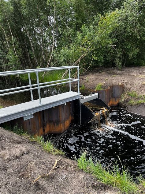 peatland restoration   humberhead levels yorkshire wildlife trust