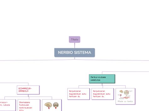 Nerbio Sistema Carte Mentale