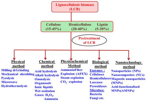 Energies Free Full Text Sustainable Strategies For The Conversion