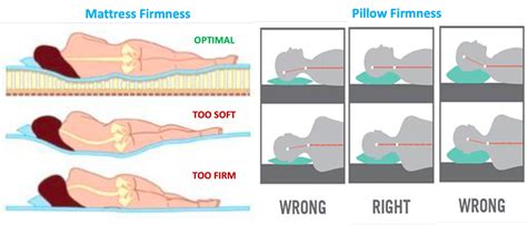 Ergocure® Blogs Sleep Ergonomics
