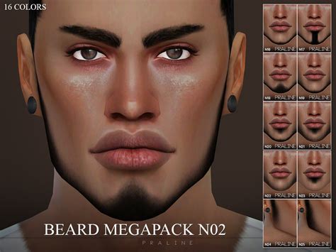 Pralinesims Beard Megapack N02