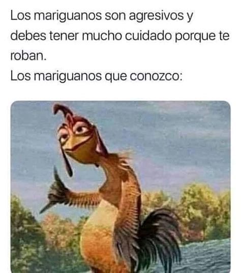 Los Mariguanos Son Agresivos Y Debes Tener Mucho Cuidado Porque Te