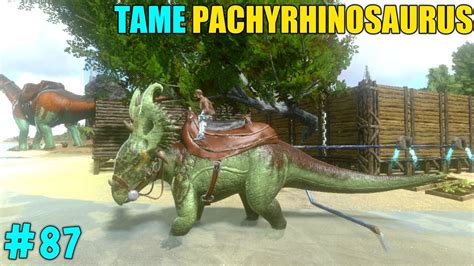 ARK SURVIVAL EVOLVED MOBILE TAME PACHYRHINOSAURUS DINO BATTLE