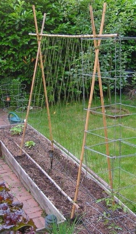 Vertical Vegetable Garden With DIY Garden Trellis