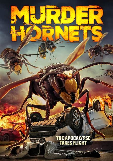 Angry Asian Murder Hornets 2020 Imdb