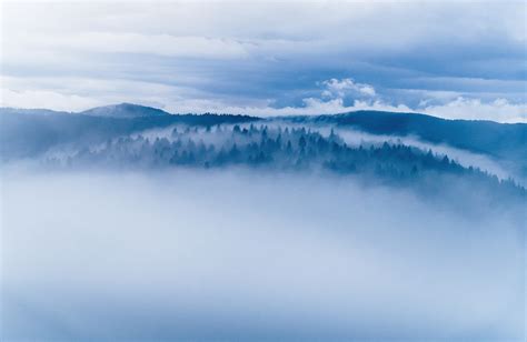 Vosges Mountains – ALEX WESCHE LANDSCAPES