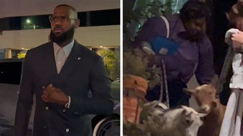 LeBron James Hosts Two Goats At Dinner Party With Savannah, Friends