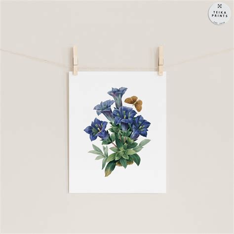 Vintage Blue Flowers Wall Art Prints Set Of 6 Botanical Etsy