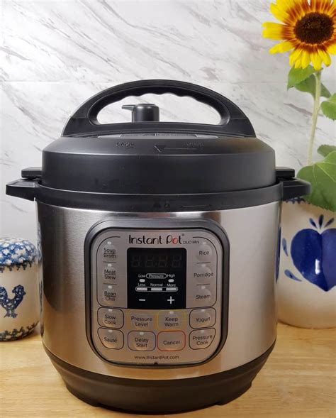 Instant Pot Duo Mini In Pressure Cooker Review This Old Gal