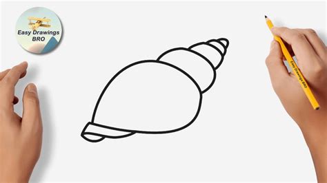 Drawing Shell Tutorial How To Draw A Seashell Easy Drawings Bro