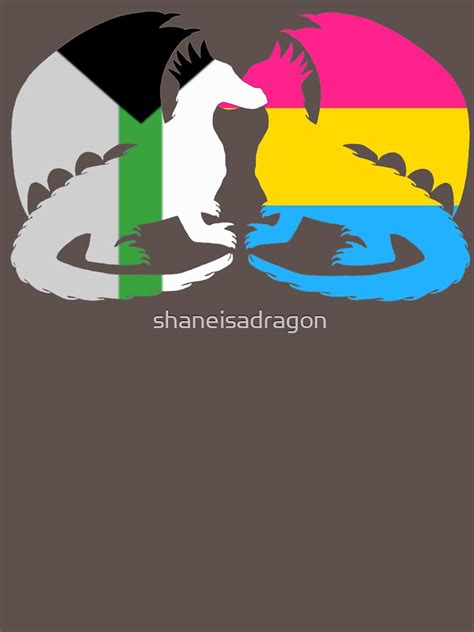 Demiromantic Pansexual Pride Dragons T Shirt For Sale By