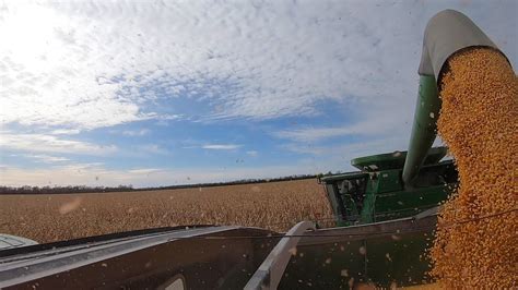 Finishing Wet Corn Harvest YouTube