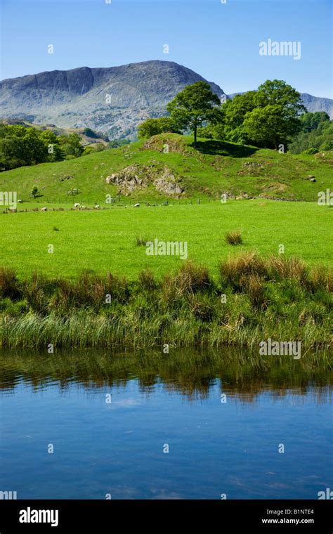 Elter Water Early Spring Colours In May With The Langdale Pikes In