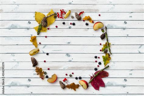 Autunno Natura Di Foglie Bacche Pigne E Colori Stock Photo Adobe Stock