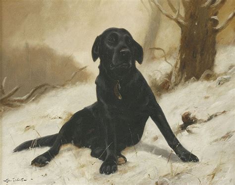 Sold Price John Trickett B1953a Labrador In The Snow 19 June 2