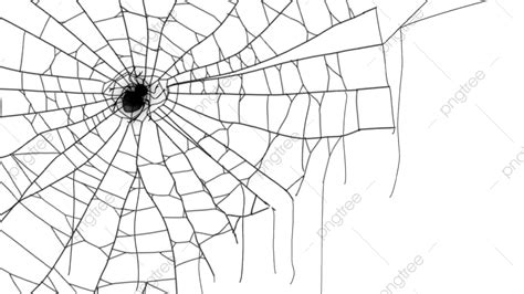 Spider Web Horizontal Drawing Black Realistic, Spider Web, Cobweb ...