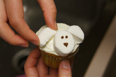 Sheep Cupcakes We Re Calling Shenanigans