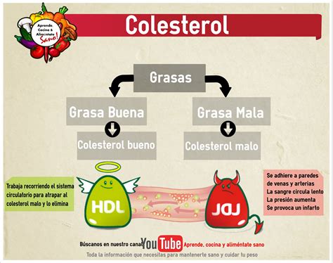 Alimentacion Saludable El Colesterol Es Un Tipo De Grasa Y Hay De