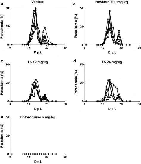 In Vivo Efficacy Of T5 Bestatin And Chloroquine Against P C Chabaudi Download Scientific