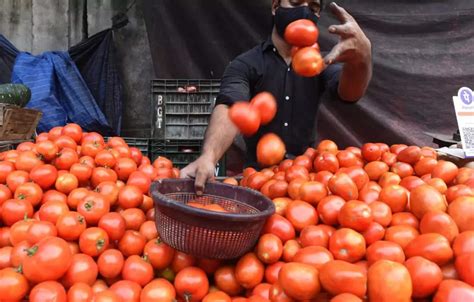 Tomato Shortage Tomato Price Shock Hits Indian Restaurants Cheaper