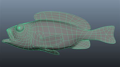 3d Rougheye Rockfish Turbosquid 1691322