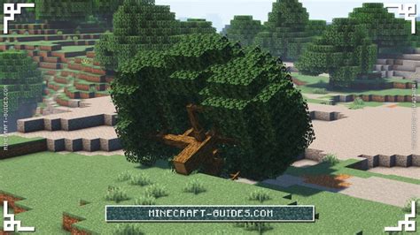 Minecraft Dynamic Trees Mod Minecraft Guides Wiki