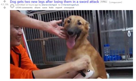 10000 Best Rimworld Images On Pholder Rim World Space Cannibalism And Rim World Porn