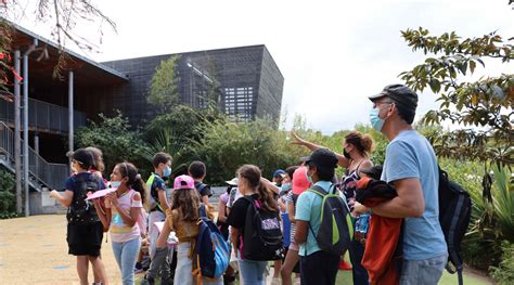 Ecole ALPINIAS Petite Île île de La Réunion S PASS Territoires