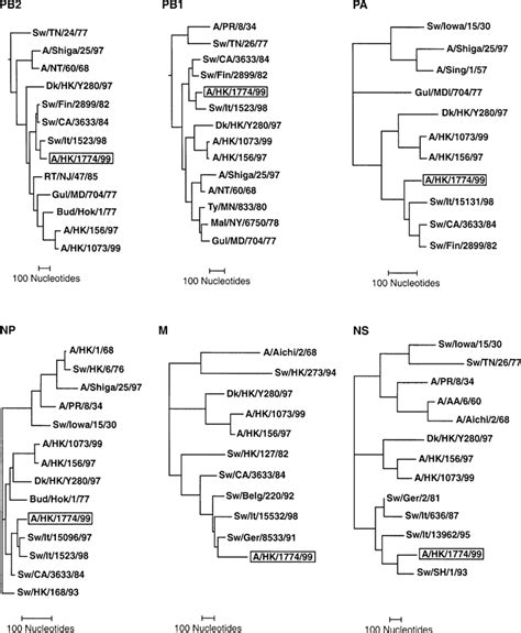 Phylogenetic Comparisons Of Nucleotide Sequences Encoding Pb2 Pb1 Pa