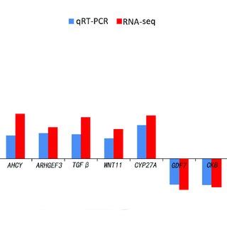 Comparison Of The Expression Level Of RNA Seq With QRT PCR Results