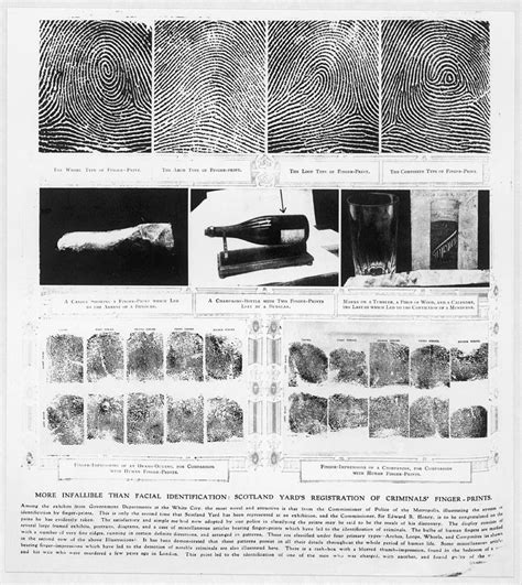 Fingerprinting Techniques From Photograph by Illustrated London News ...