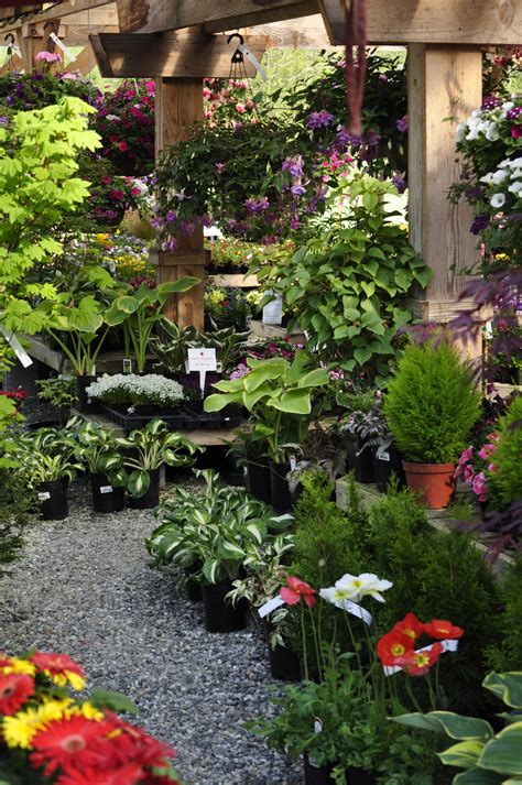 Plant Nursery & Garden Center | Arlington, WA - Fruitful Farm & Nursery