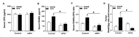 Effect Of Milk Extracellular Vesicle Treatment In The Opg Rankl Axis