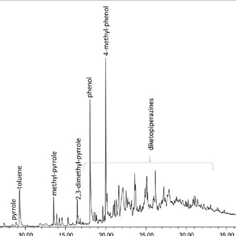 Py Gc Ms Chromatogram Of K11klr 7195 Download Scientific Diagram