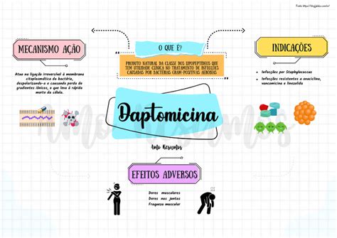 Mapas Mentais De Farmacologia Amo Resumos