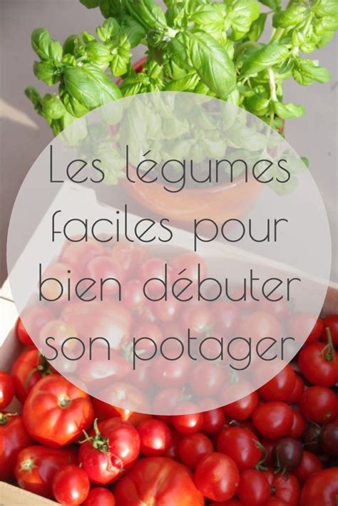 Les légumes faciles pour bien commencer son potager legumes potager