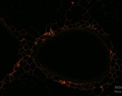 TouchDesigner Artwork Projects | Photos, videos, logos, illustrations ...