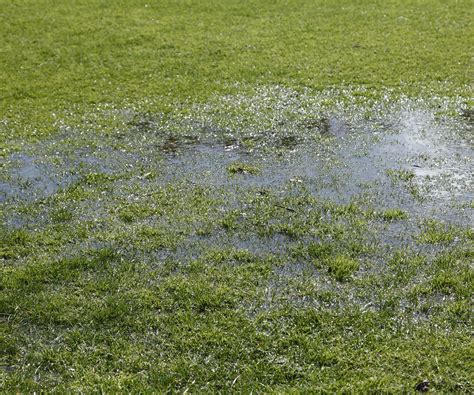 How To Fix Waterlogged Soil In Your Garden Homebuilding