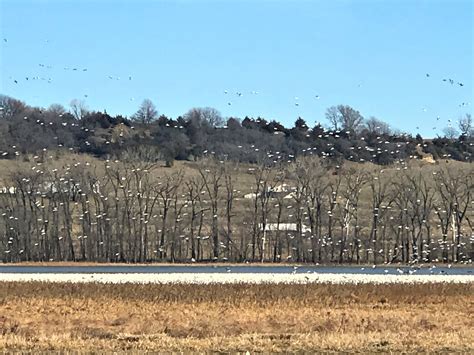 Loess Bluffs National Wildlife Refuge Livin Life With Lori