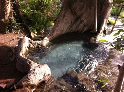 Poza Natural Formada Por Una Higuera En El Balneario Las Huertas En