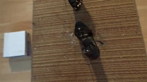 A Great Platform Sandal Gay Amateur Amateur Porn Feat Van Xhamster