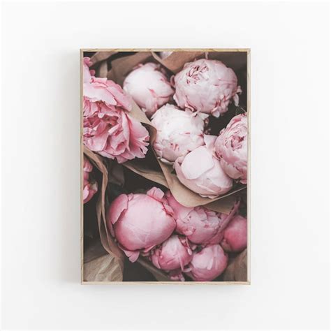 Light Pink Peony Etsy