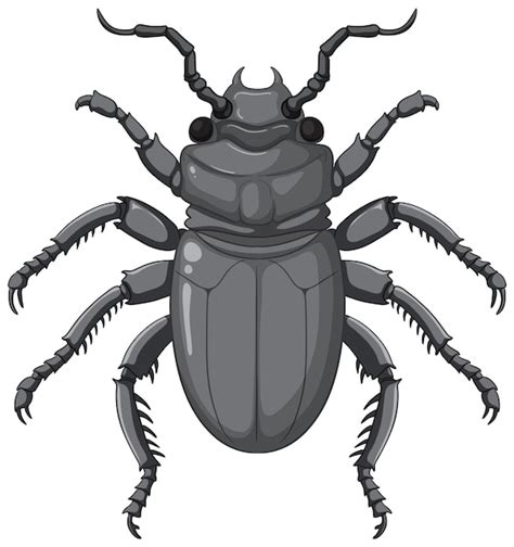 Vector De Escarabajo Aislado Sobre Fondo Blanco Vector Premium