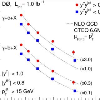 The γ b X and γ c X differential cross sections as a function of p γ