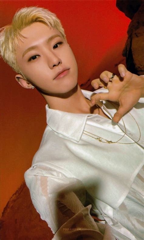 Seventeen Be The Sun Concert Photocard Scan Hoshi In