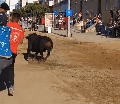 Sobe O N Mero De Feridos Nas Largadas De Alcochete Comandante Dos