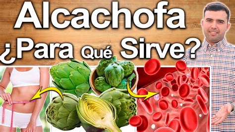 Alcachofa Para Qu Sirve Beneficios Y Propiedades De La Alcachofa