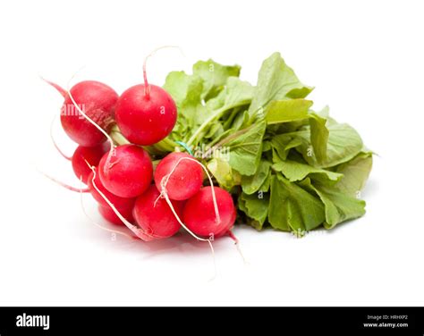 Bunch Of Radish Isolated On White Background Stock Photo Alamy